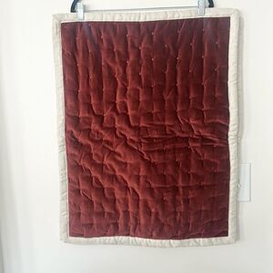 Biltmore Velvet Quilted Pillow Shams 20”c26”